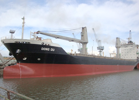 Tàu chở Container Đông Du