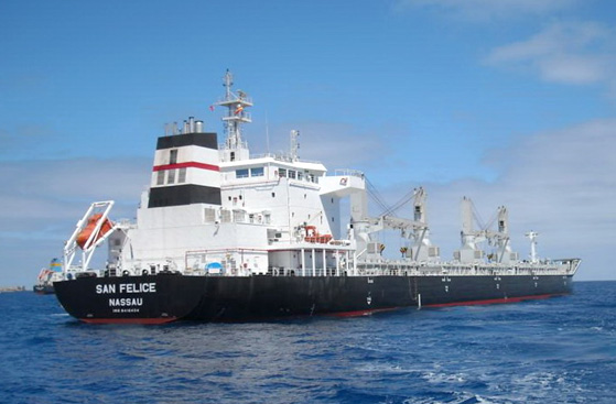 Tàu chở hàng rời vỏ kép 34.000 DWT (San Felice)